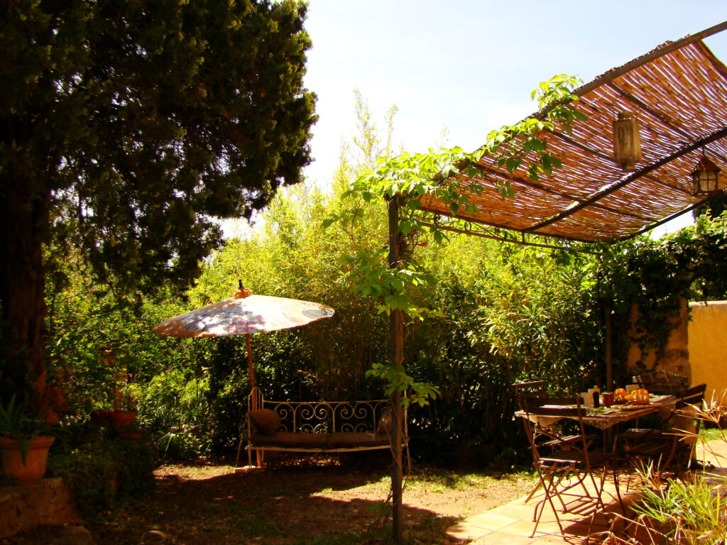 parasol en canisse jardin